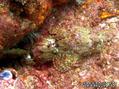 foto de buceo