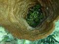 foto de buceo