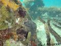foto de buceo
