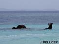 foto de buceo