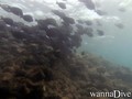 foto de buceo