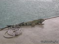 foto de buceo