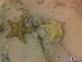 foto de buceo