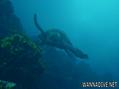 foto de buceo