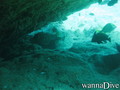 foto de buceo