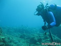 foto de buceo