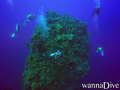 foto de buceo