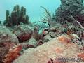 foto de buceo