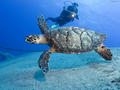 foto de buceo