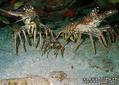 foto de buceo