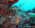 foto de buceo