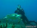 foto de buceo
