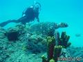 foto de buceo