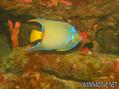 foto de buceo