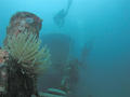 foto de buceo