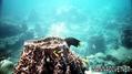 foto de buceo