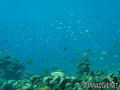 foto de buceo
