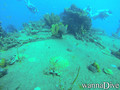foto de buceo
