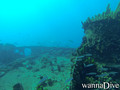 foto de buceo