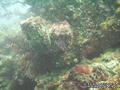 foto de buceo