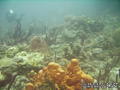 foto de buceo