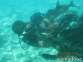foto de buceo