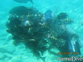 foto de buceo