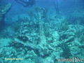foto de buceo