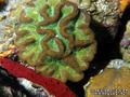 foto de buceo