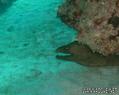 foto de buceo