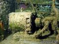 foto de buceo