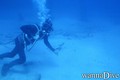 foto de buceo