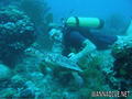 foto de buceo