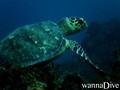 foto de buceo