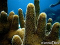 foto de buceo