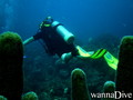 foto de buceo