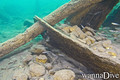 foto de buceo