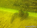 foto de buceo
