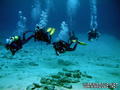 foto de buceo