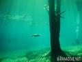 foto de buceo