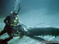 foto de buceo