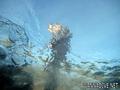 foto de buceo