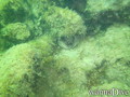 foto de buceo