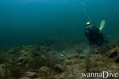 foto de buceo