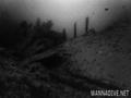 foto de buceo