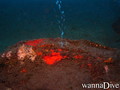 foto de buceo