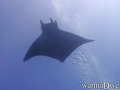 foto de buceo