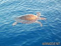 foto de buceo