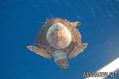 foto de buceo