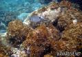 foto de buceo